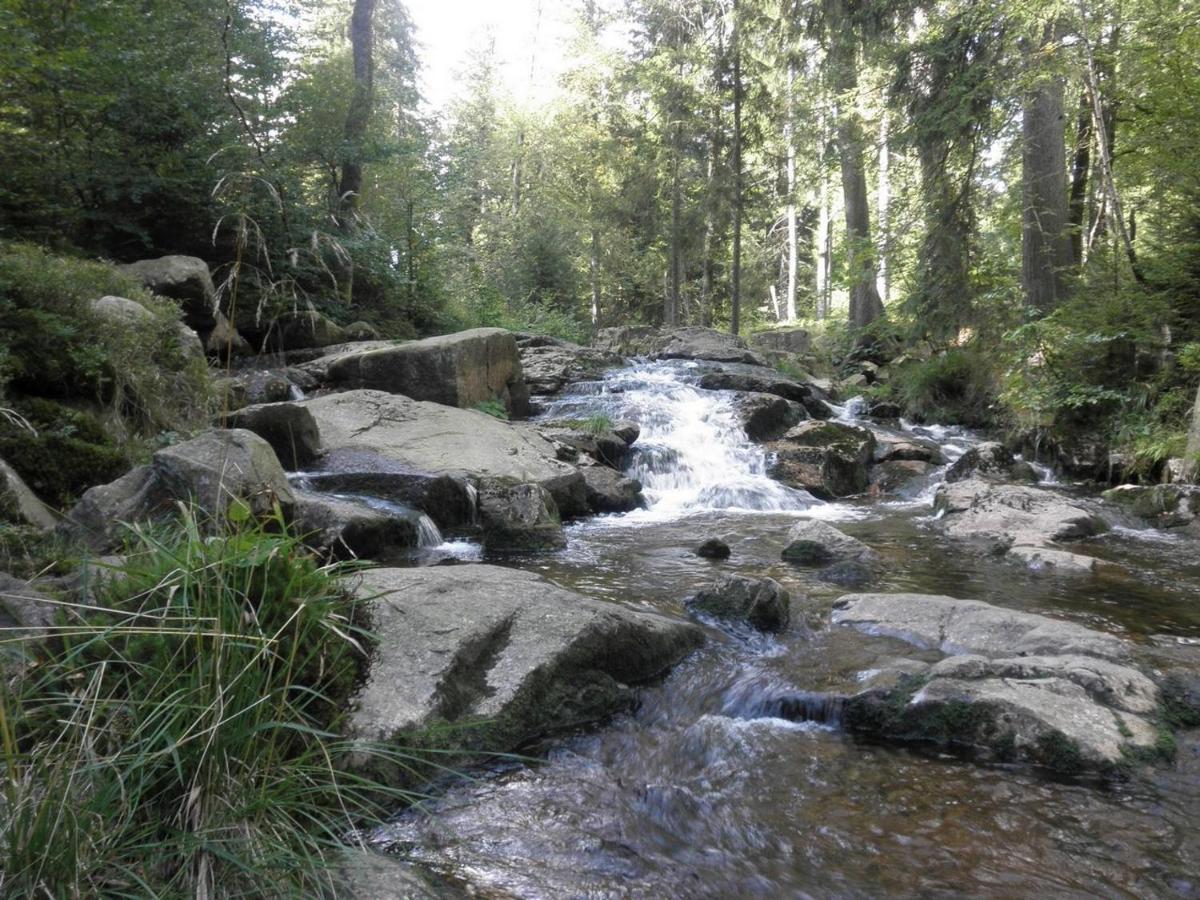 Gaestehaus Mea Vota Braunlage Bagian luar foto