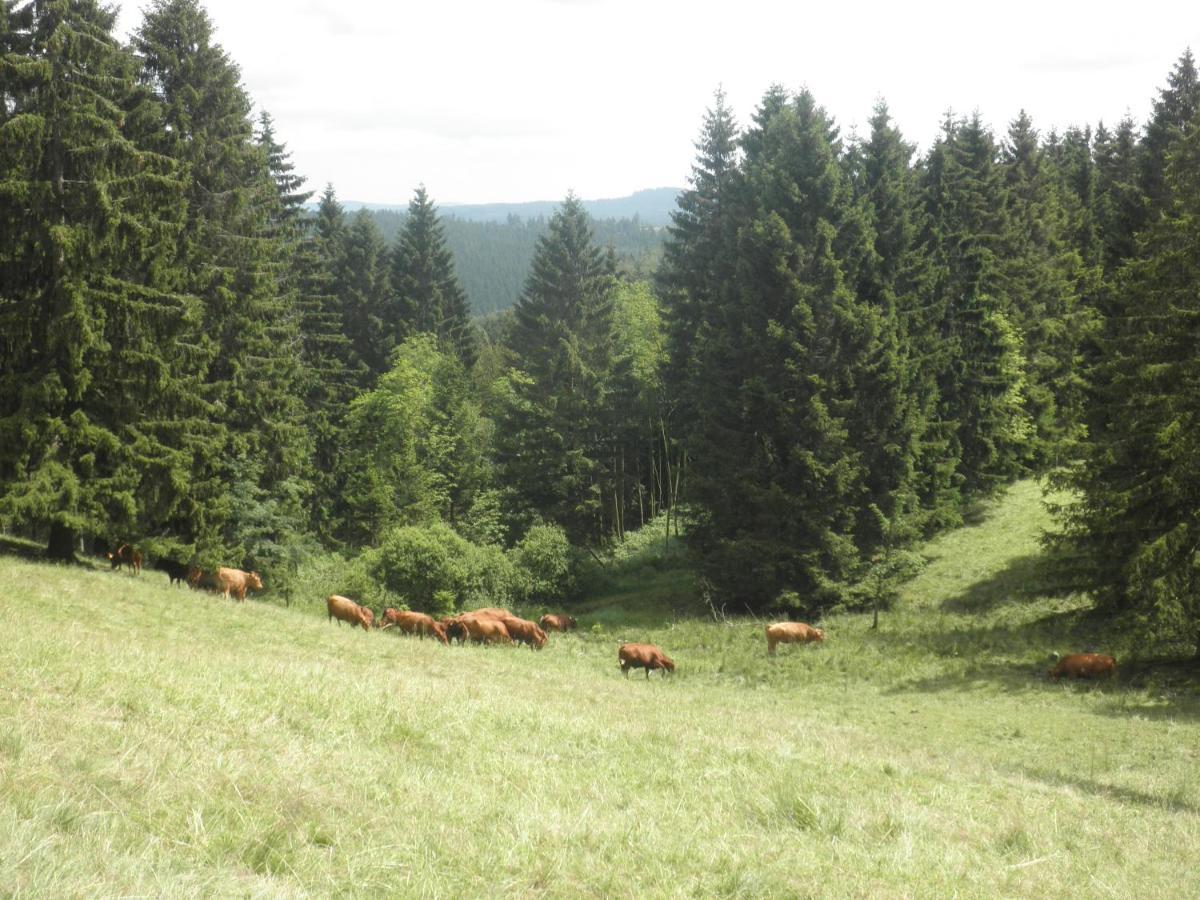 Gaestehaus Mea Vota Braunlage Bagian luar foto
